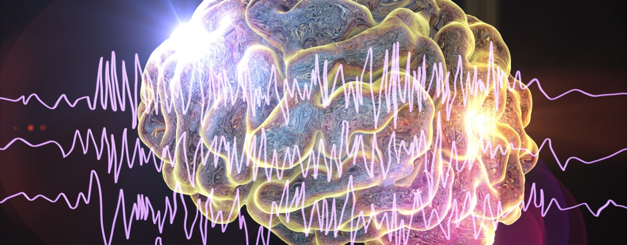 Creyos Health Assessment